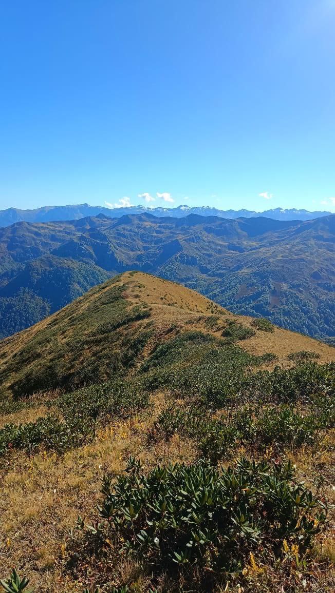 МАМЗЫШКА — фото 2