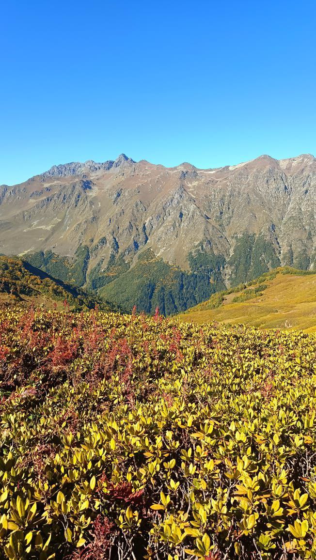 МАМЗЫШКА — фото 3