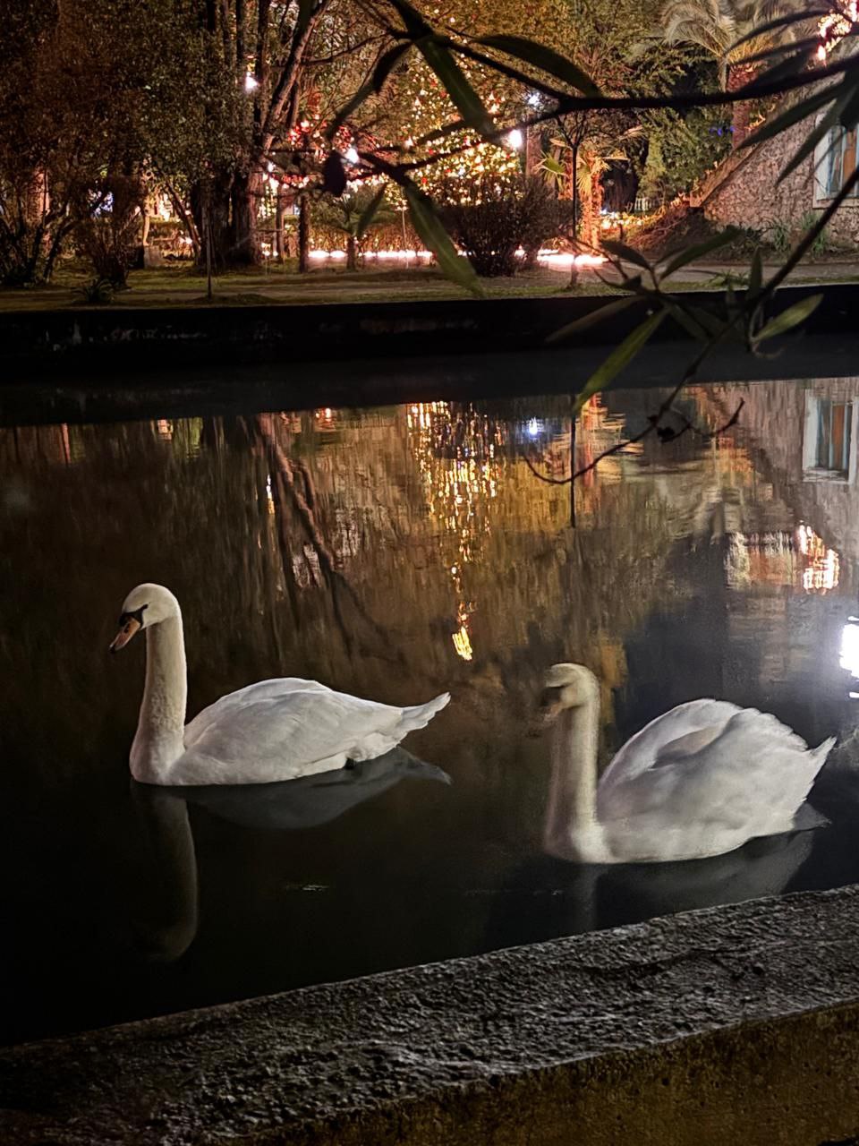 НОВЫЙ АФОН И СВЯТЫНИ — фото 2