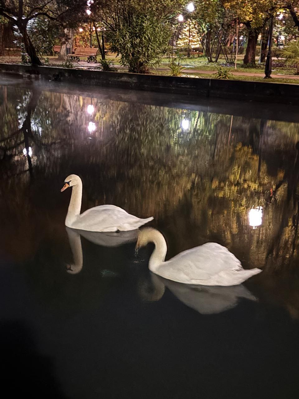 НОВЫЙ АФОН И СВЯТЫНИ — фото 18