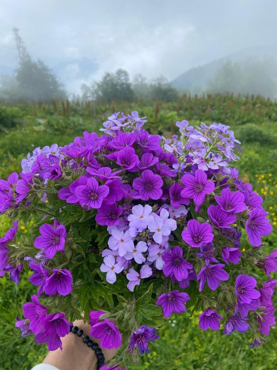 ОЗЕРО РИЦА + ГЕГСКИЙ ВОДОПАД — фото 3