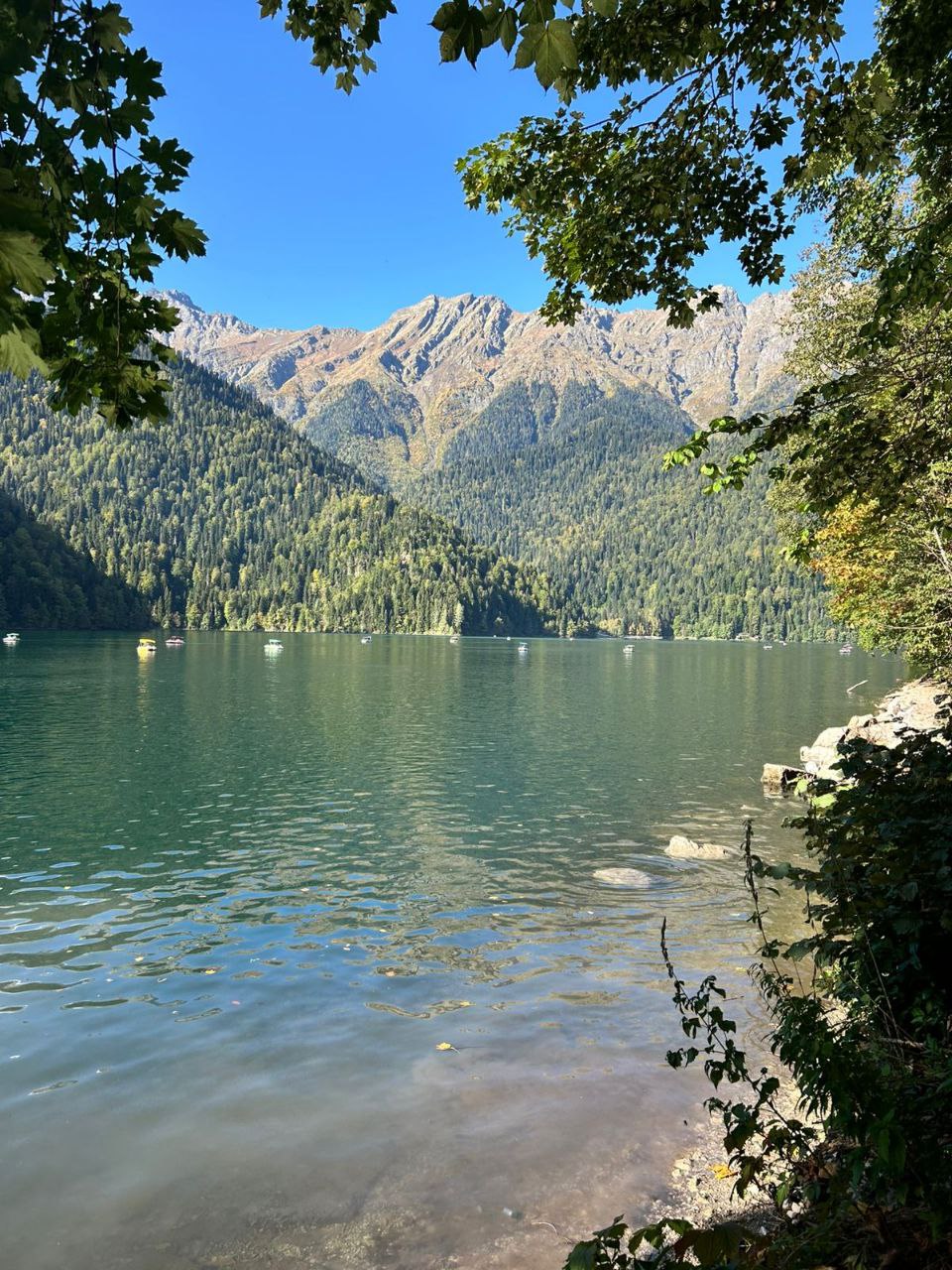 ОЗЕРО РИЦА — фото 5